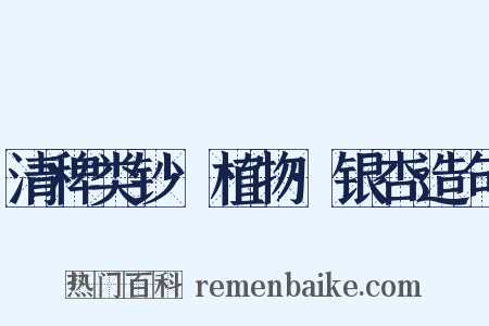 清稗类钞·植物·银杏造句是什么意思的图片